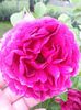 20140606_075457