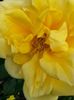 20140607_092404