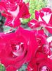 20140607_092424