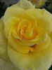 20140607_092441