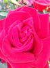 20140607_092520