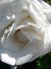 20140609_092454