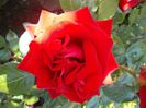 DSCN0209