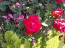 DSCN0215