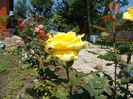 DSCN0219