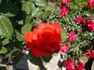 DSCN0223