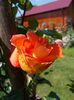 DSCN0227