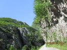 IMG_5984