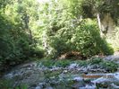 IMG_6001