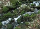 IMG_6041