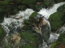 IMG_6064