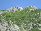 IMG_6091