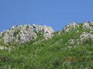 IMG_6092