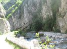 IMG_6107