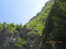 IMG_6109