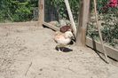 la tara 09.06.2014 017