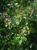 DSC01050