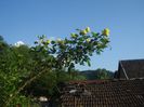 DSC01071