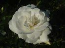 DSC01075