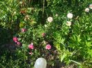 DSC01077