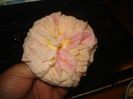 DSC01094
