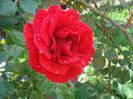DSC01101