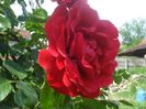 DSC01103