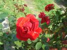 DSC01104