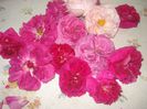 DSC01157