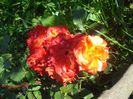 DSC01176