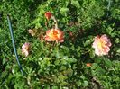 DSC01190