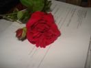 DSC00330