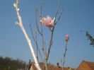 DSC00820
