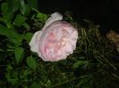 DSC01224