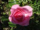 DSC01234
