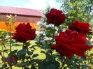 DSCN0233