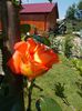 DSCN0238
