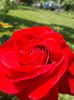 DSCN0269
