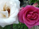 20140609_185412_Richtone(HDR)