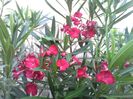 IMG_20140611_205632