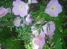 DSCF0413