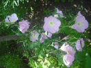 DSCF0415