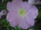 DSCF0414