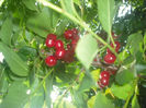 DSCF0410