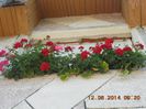 DSCN3100
