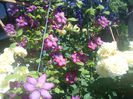DSC09384
