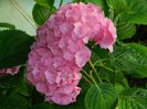 DSCN7774