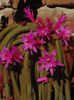 DSC00085