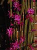 DSC00087