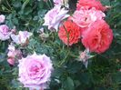 Francois Mauriac si Florajet